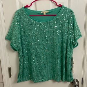Festive Park & Main Sequined Aqua Top Size 1X